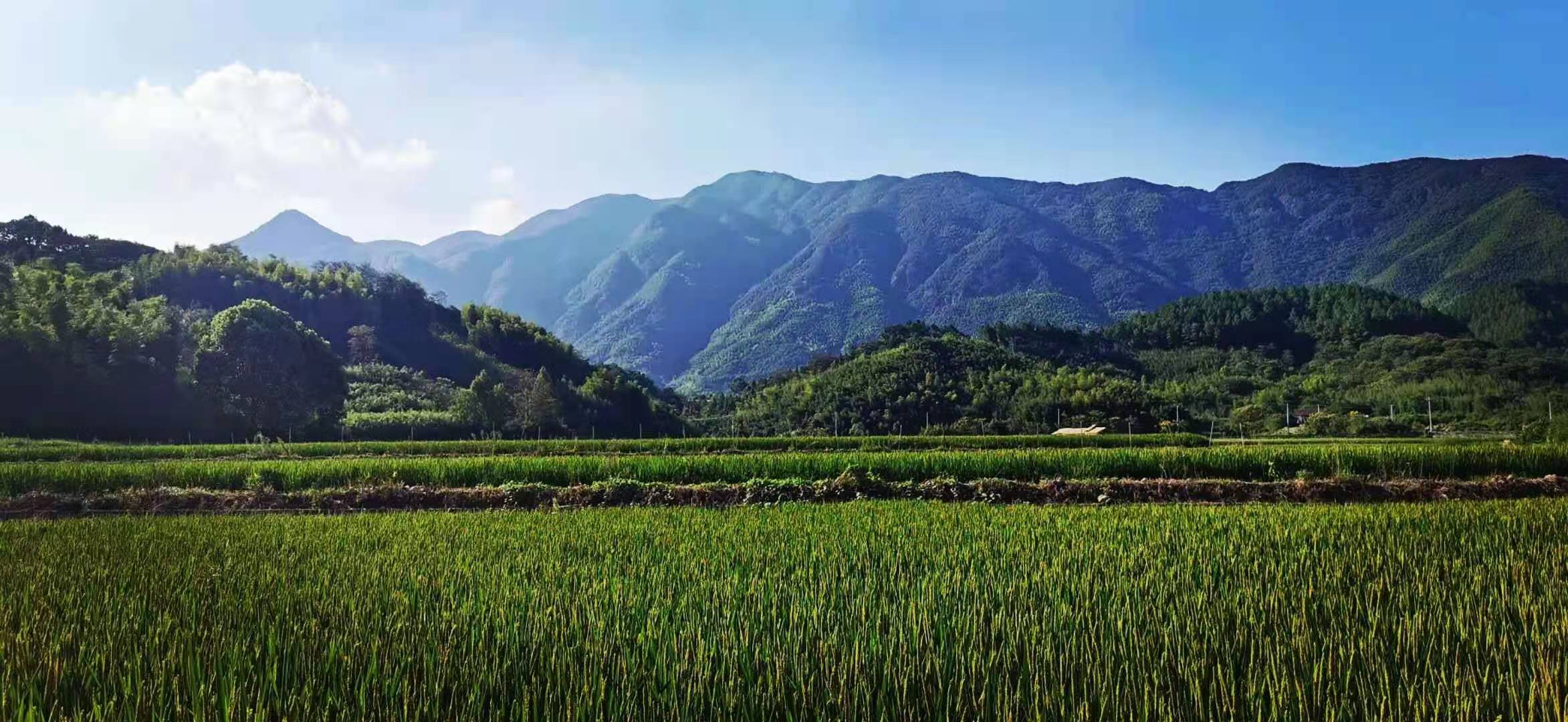 女神节快乐 | 赴一场山野清风的约会